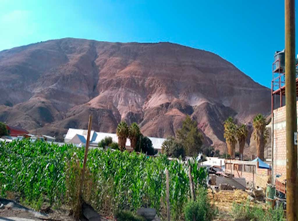 Zona Típica Pueblo de Camiña, Camiña.