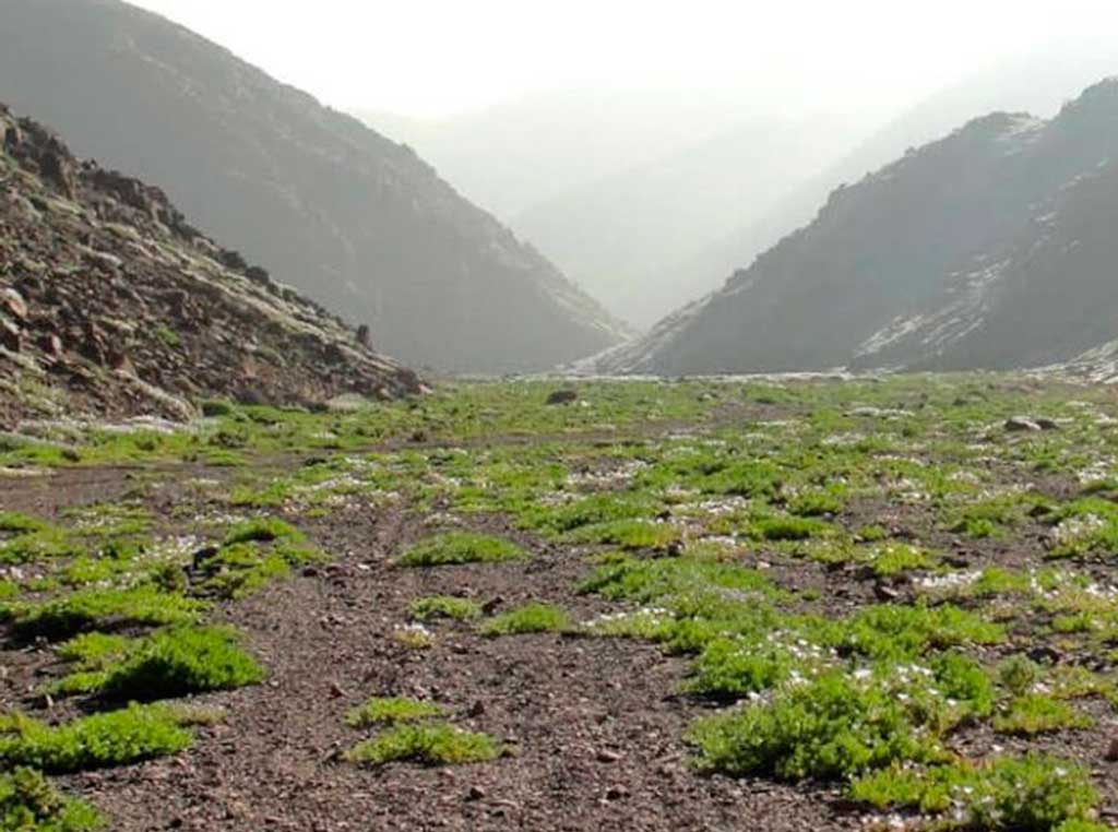 Reserva Nacional La Chimba